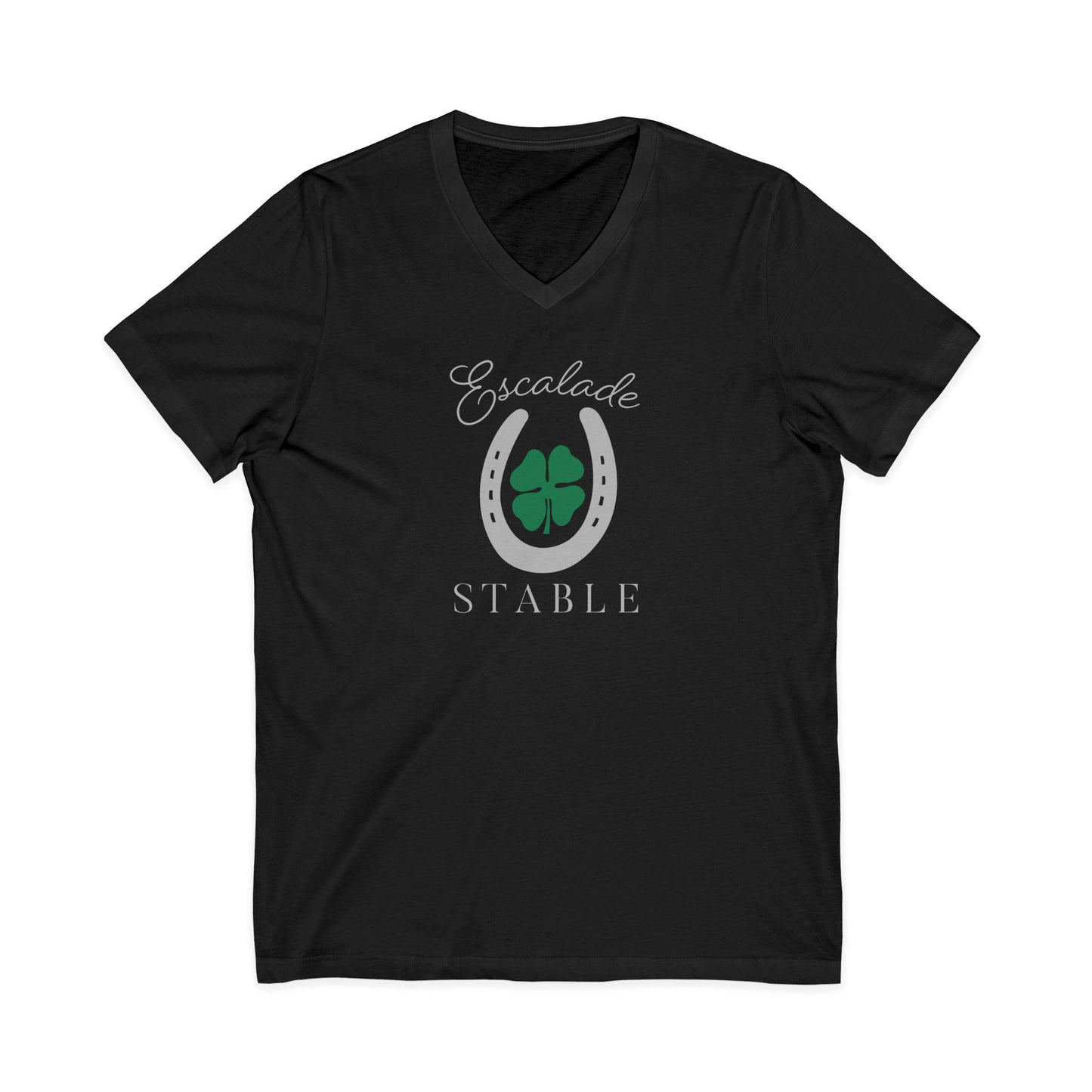 Premium Ladies V-Neck Tee