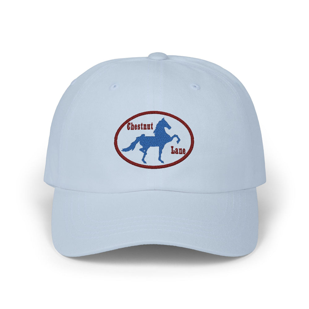 
                  
                    Embroidered Premium Hat
                  
                