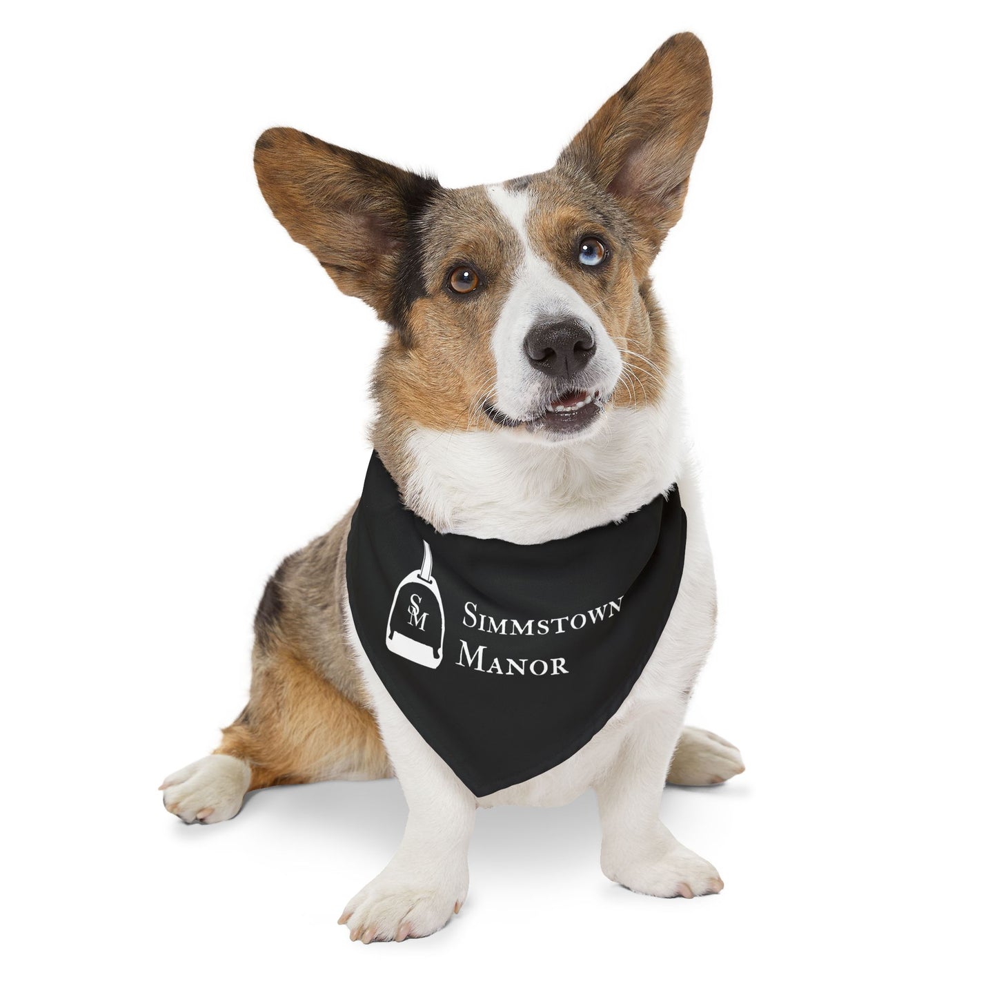 Dog Bandana with Collar