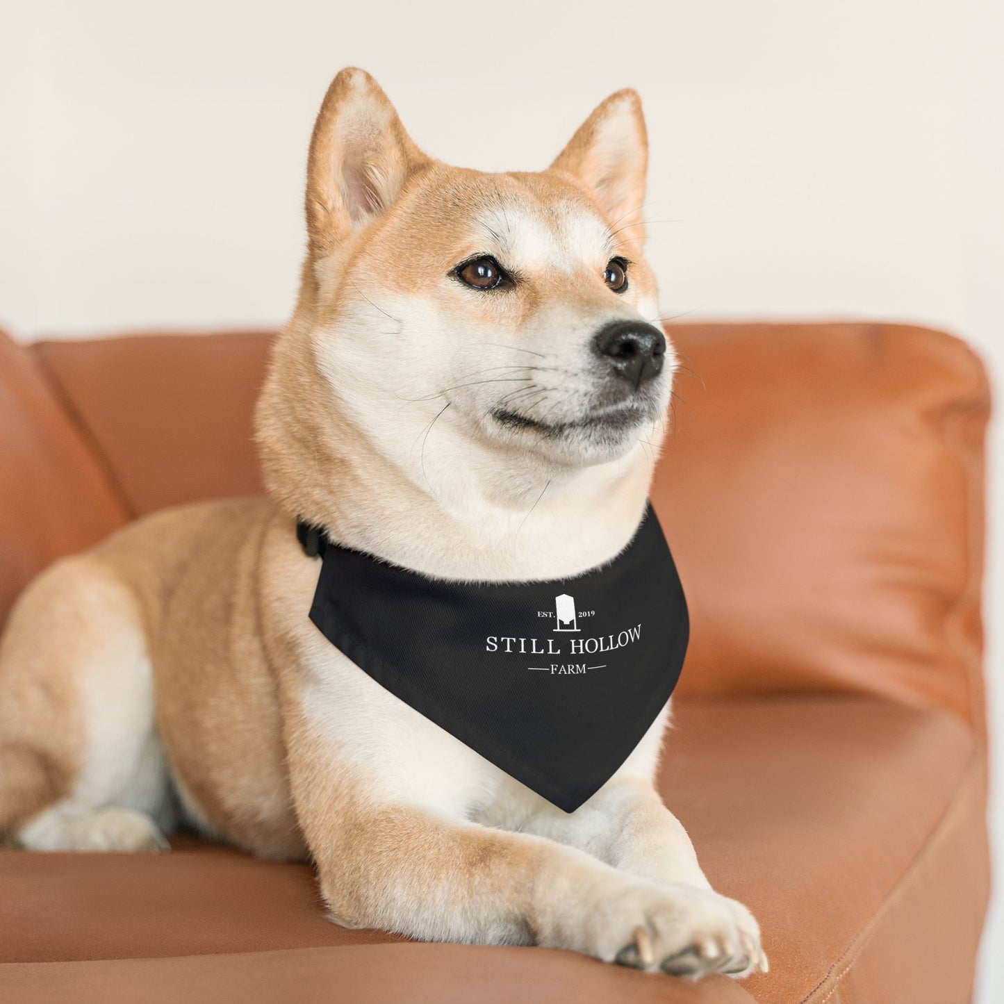 Dog Bandana with Collar