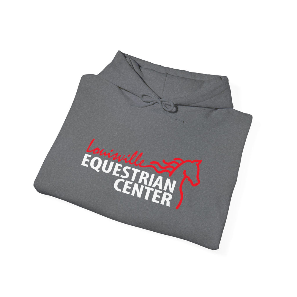 
                  
                    Unisex Heavy Blend™ Hoodie
                  
                