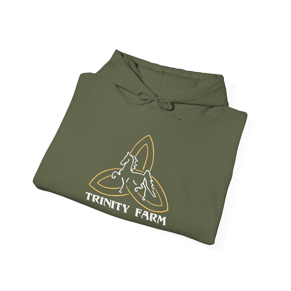 
                  
                    Unisex Heavy Blend™ Hoodie
                  
                