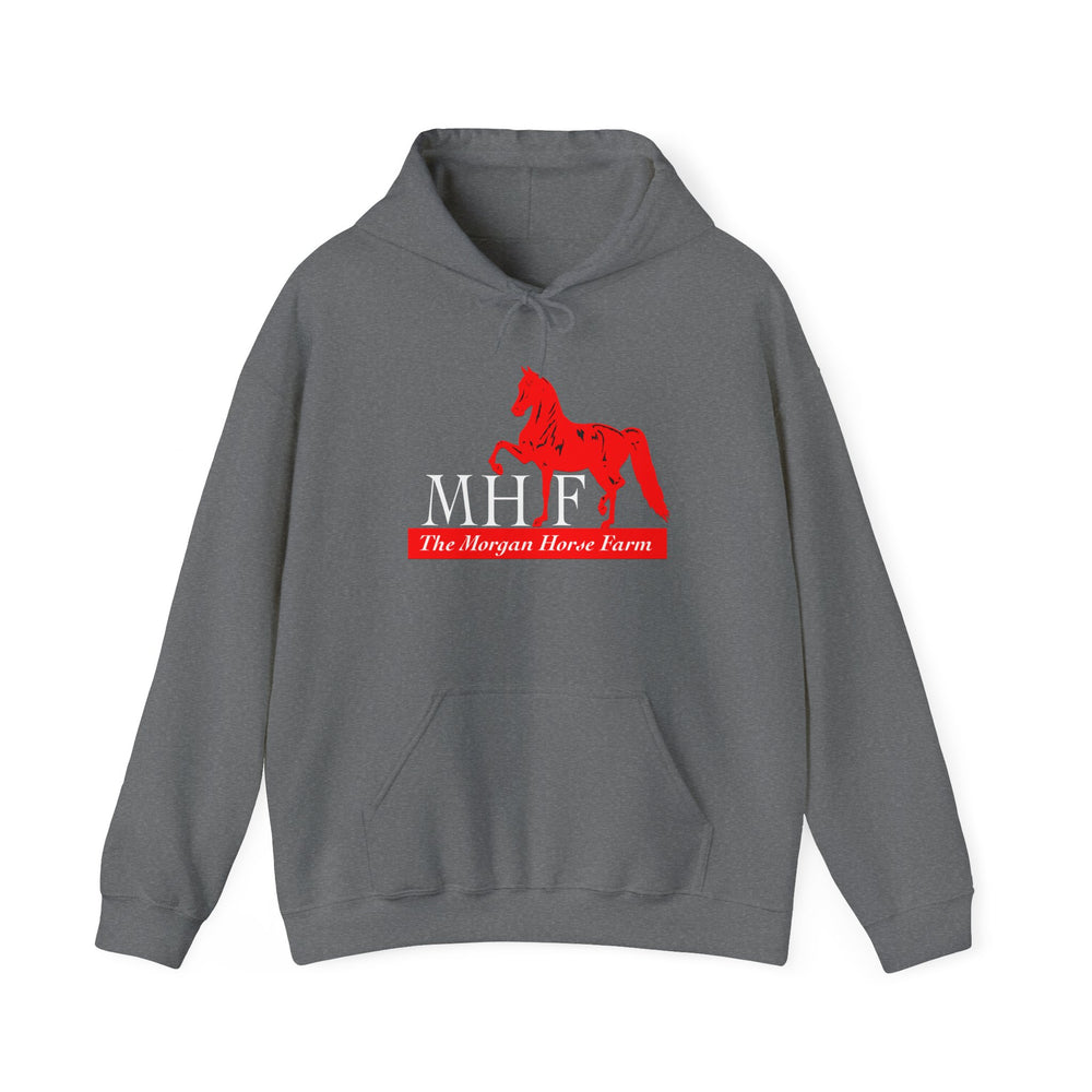 
                  
                    Unisex Heavy Blend™ Hoodie
                  
                