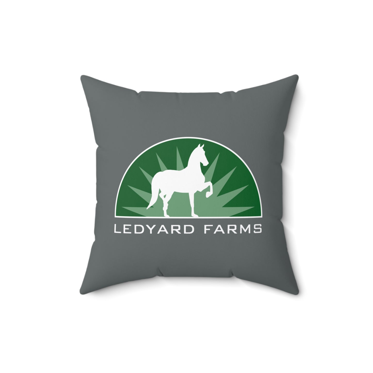 Decorative Pillow