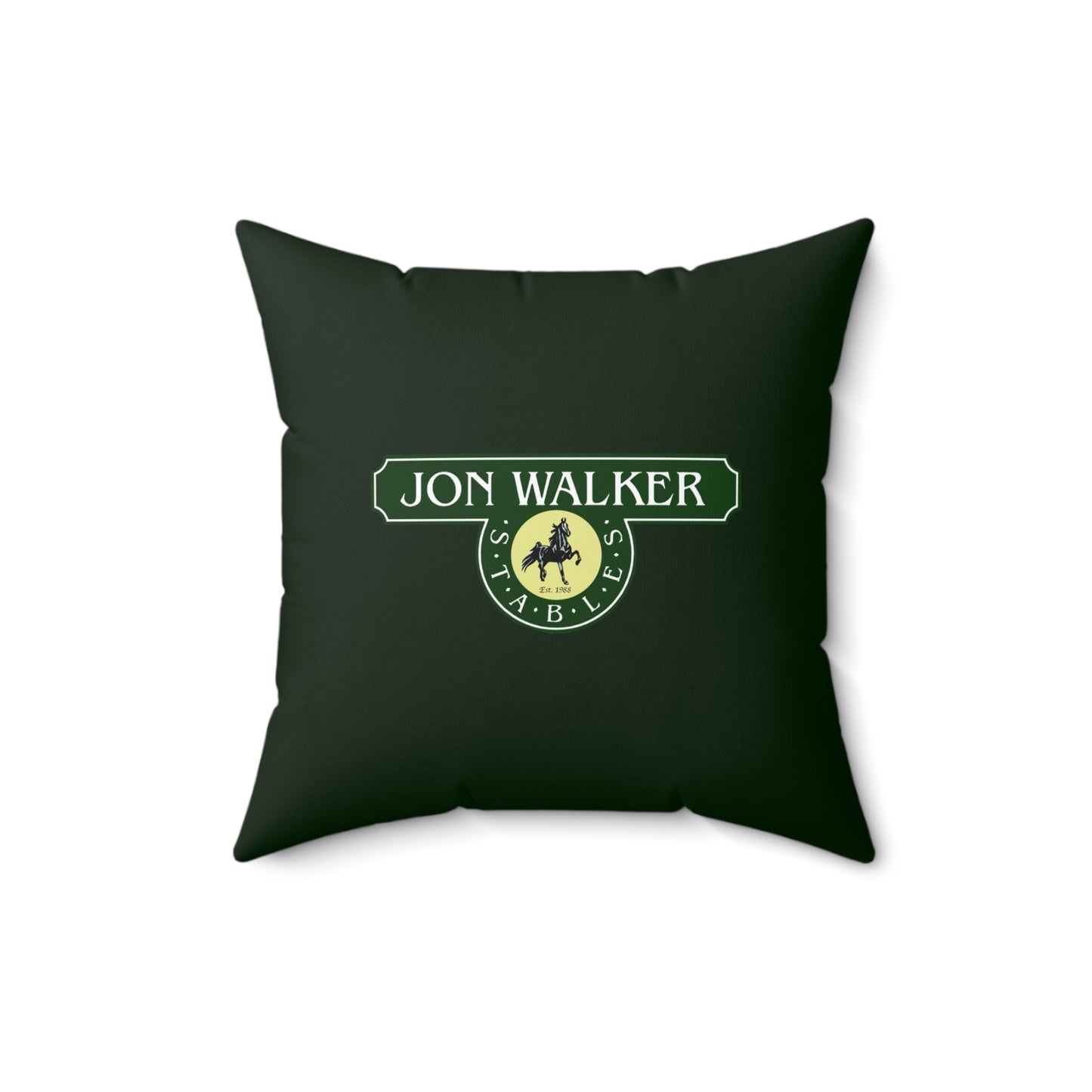 Decorative Pillow