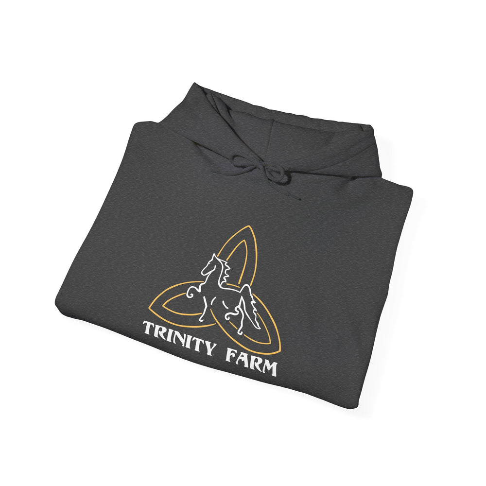 
                  
                    Unisex Heavy Blend™ Hoodie
                  
                
