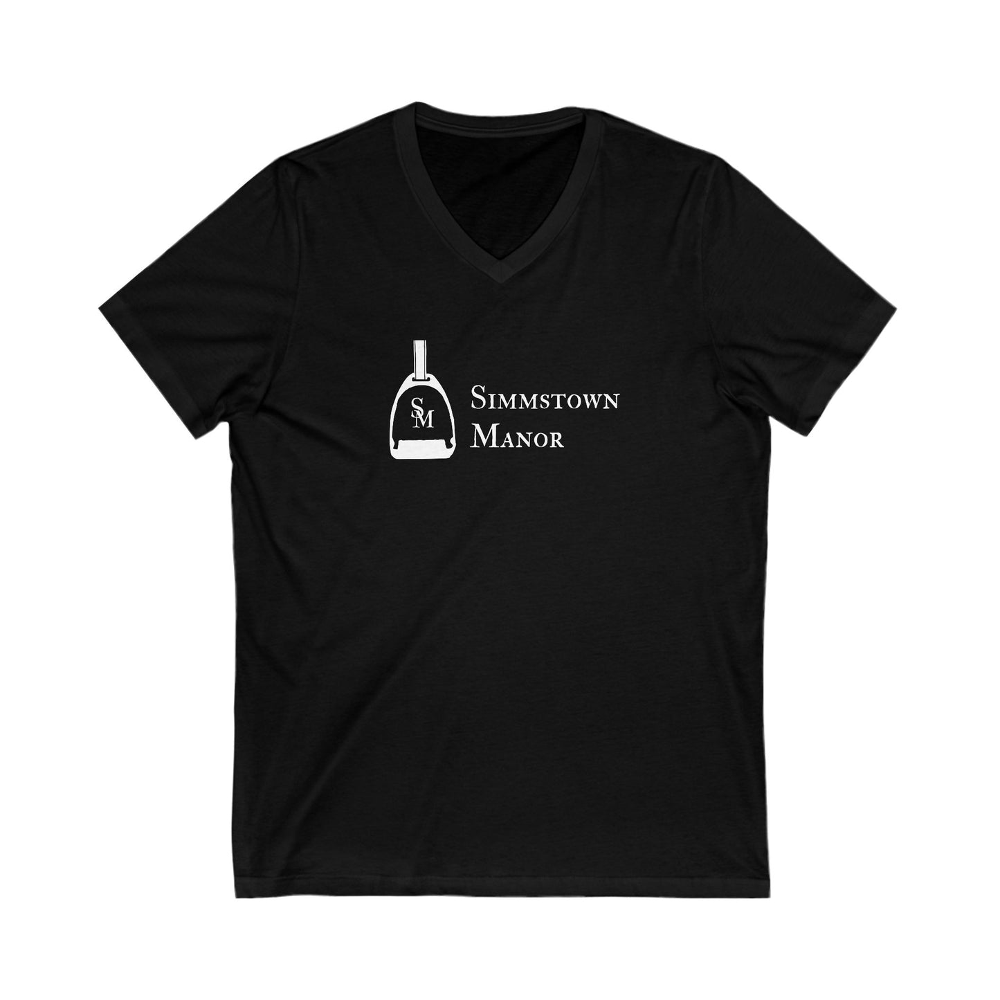 Premium Ladies V-Neck Tee
