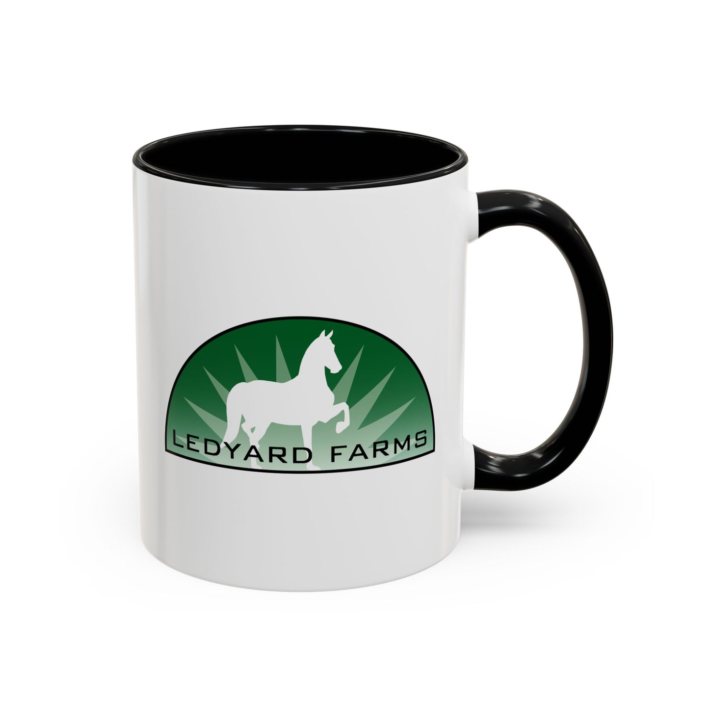 11oz Accent Mug