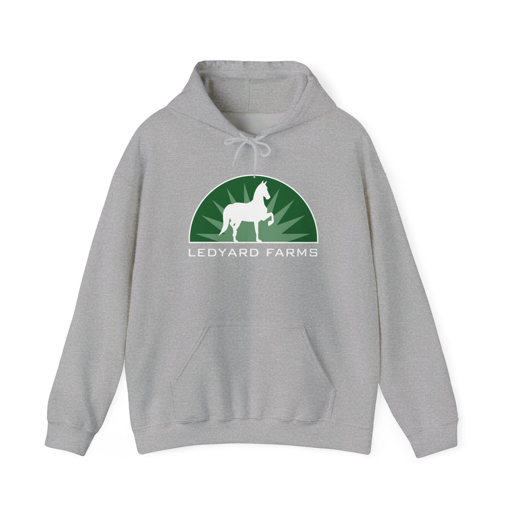 Unisex Heavy Blend™ Hoodie
