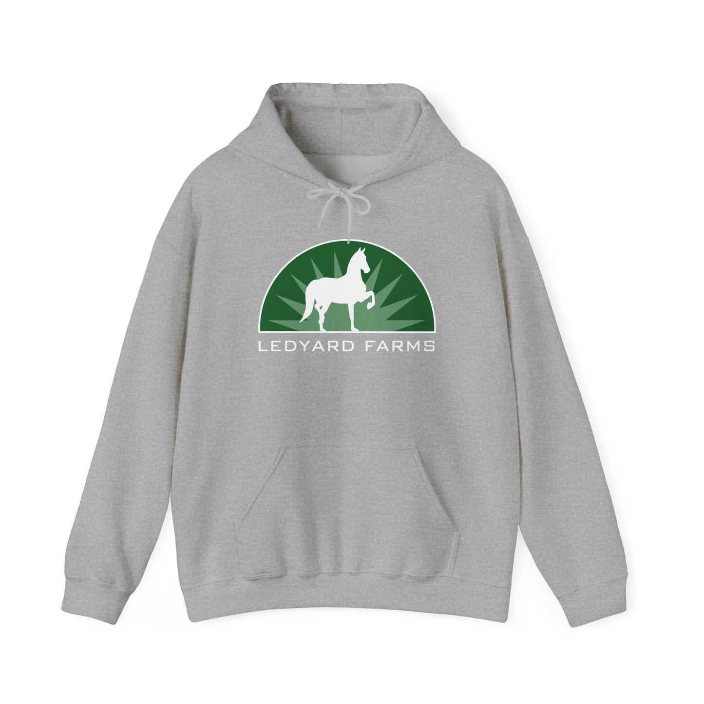 Unisex Heavy Blend™ Hoodie