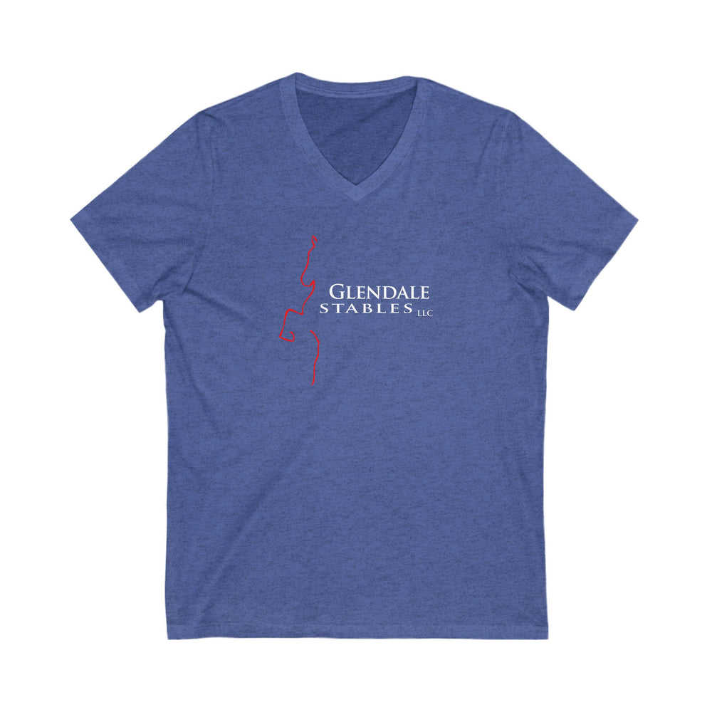 
                  
                    Premium Ladies V-Neck Tee
                  
                