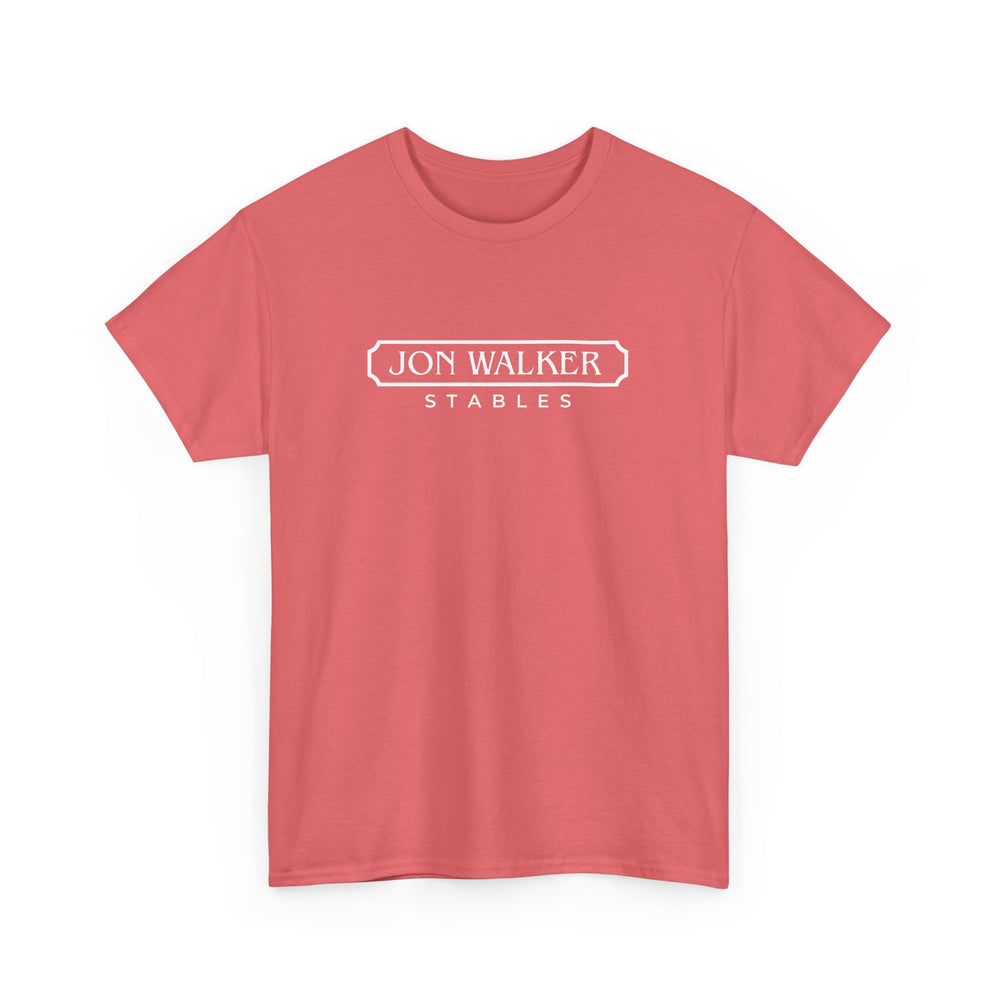 
                  
                    Classic Cotton Tee -- FUN COLORS
                  
                