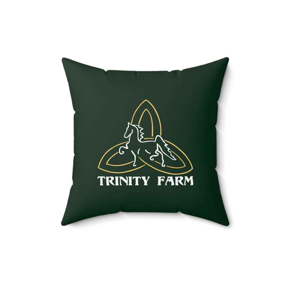 Decorative Pillow