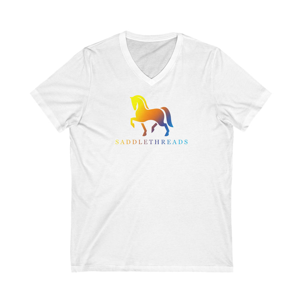 
                  
                    Premium Ladies V-Neck Tee
                  
                