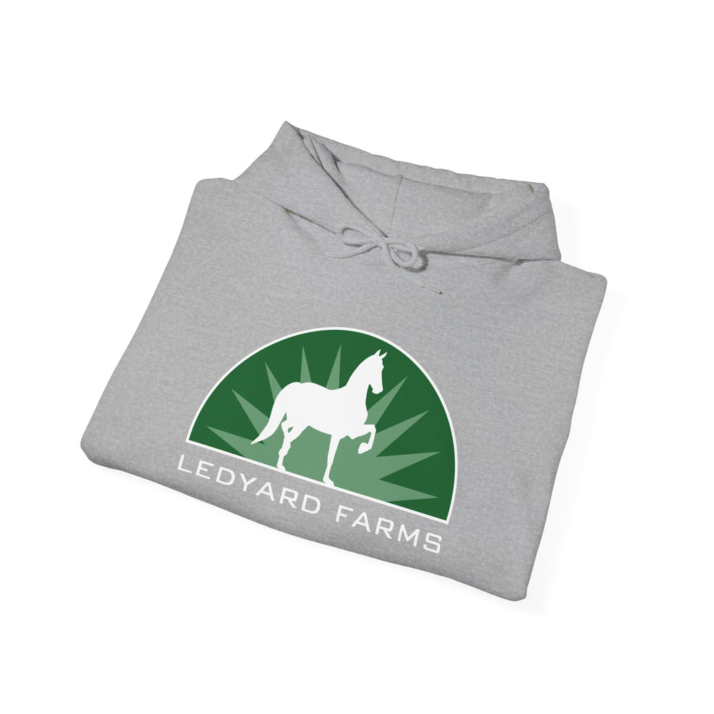 
                  
                    Unisex Heavy Blend™ Hoodie
                  
                