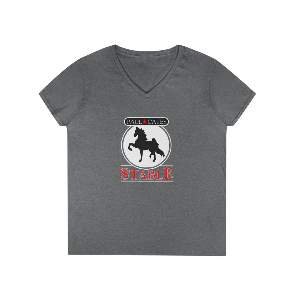 
                  
                    Ladies V-Neck Tee
                  
                
