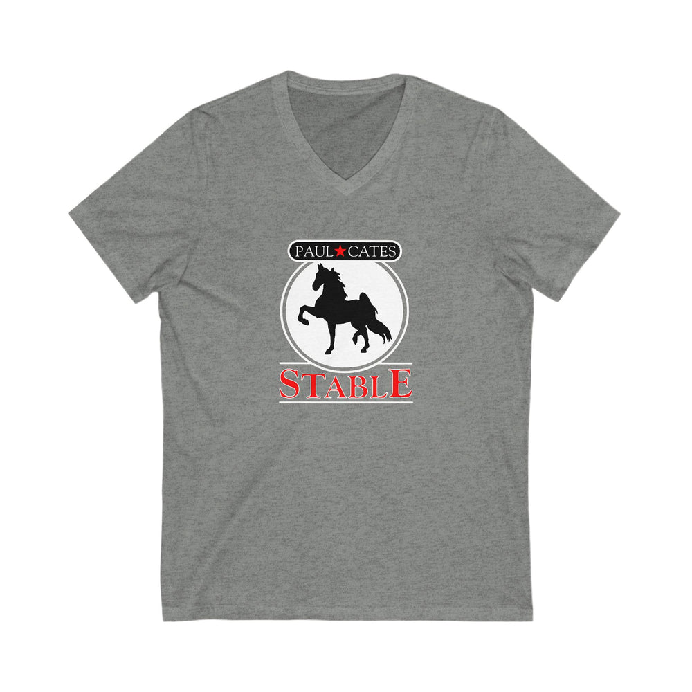 
                  
                    Premium Ladies V-Neck Tee
                  
                