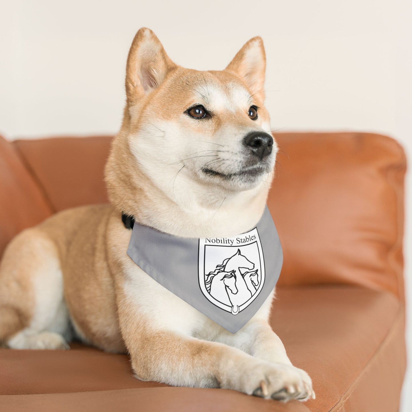 Dog Bandana with Collar