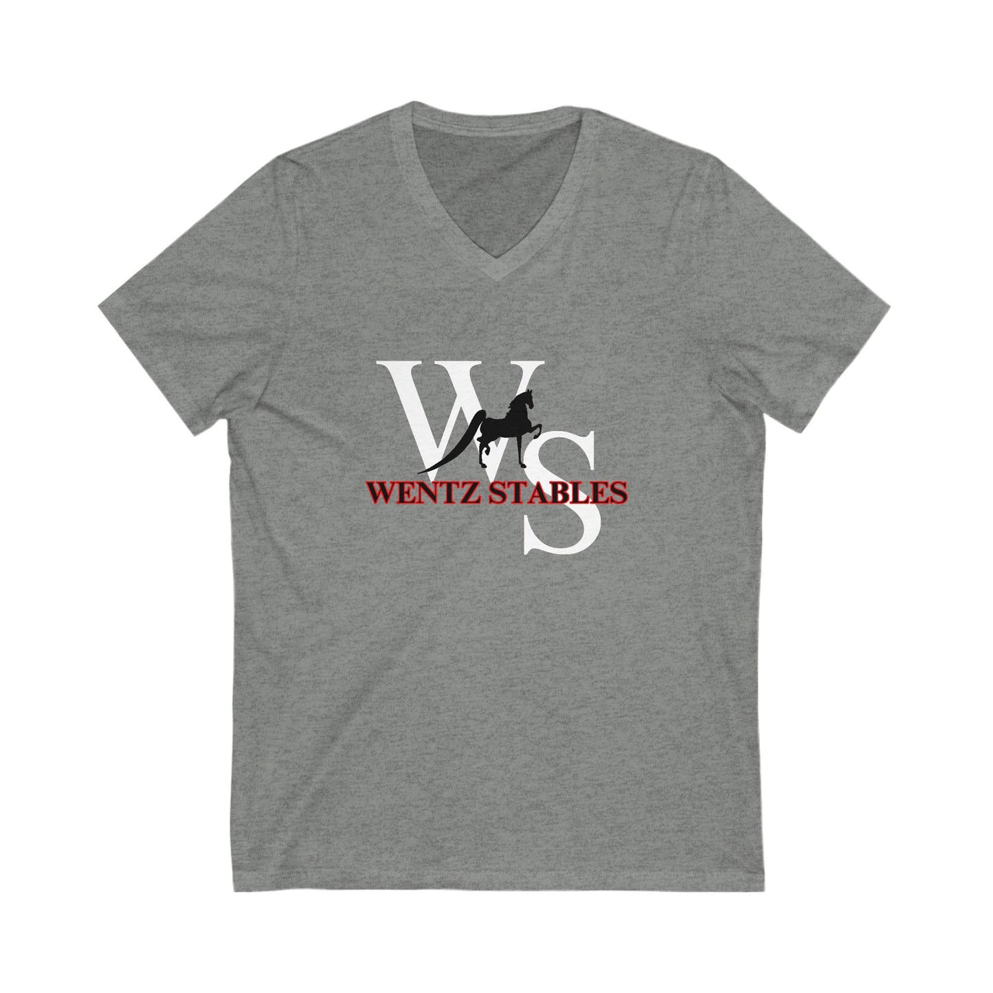 Premium Ladies V-Neck Tee
