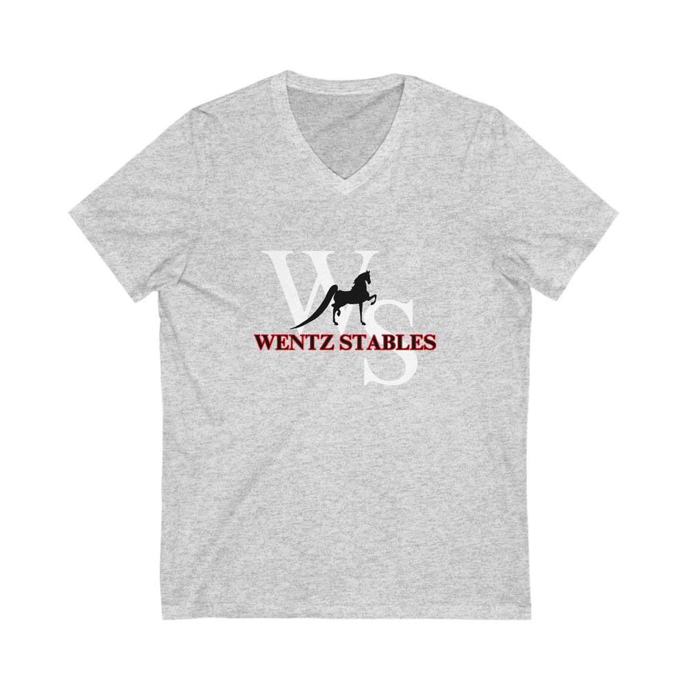 Premium Ladies V-Neck Tee