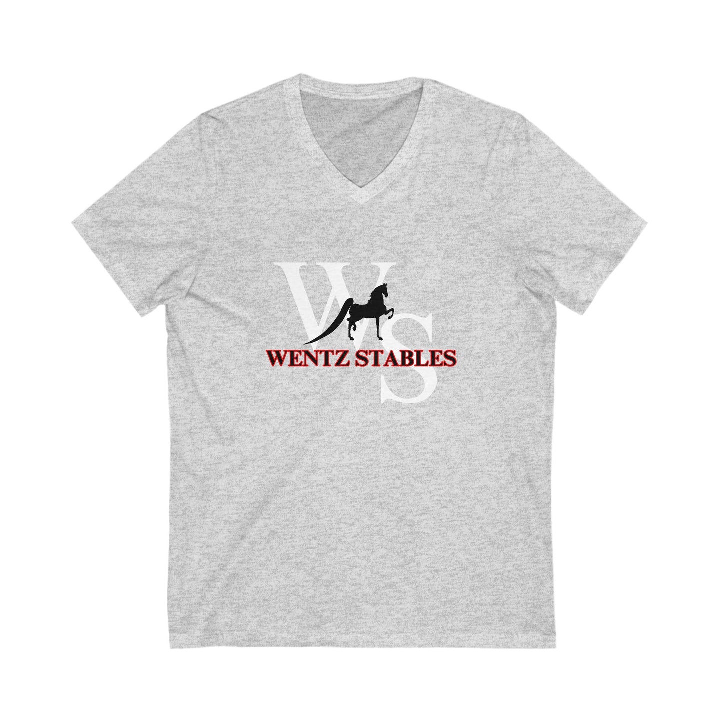Premium Ladies V-Neck Tee