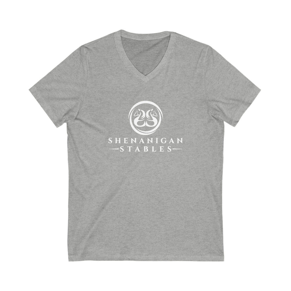 
                  
                    Premium Ladies V-Neck Tee
                  
                