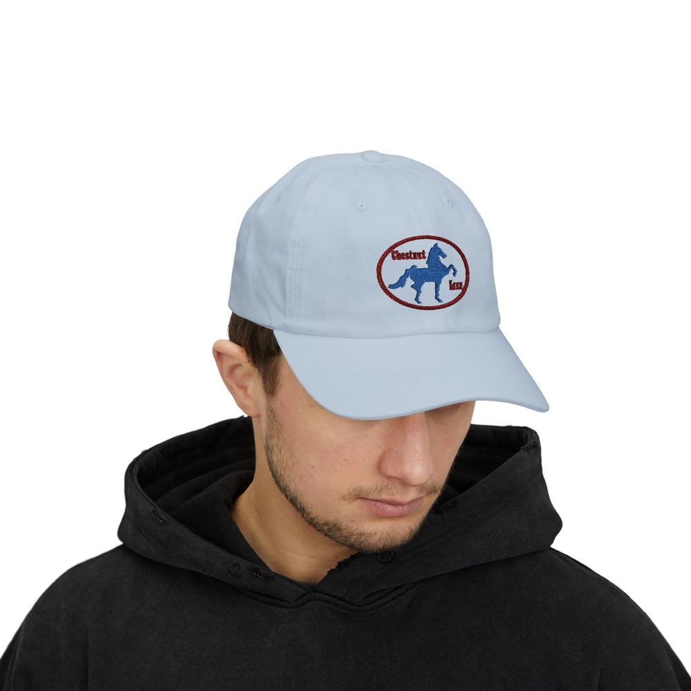 
                  
                    Embroidered Premium Hat
                  
                
