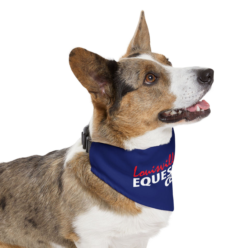 
                  
                    Dog Bandana with Collar
                  
                