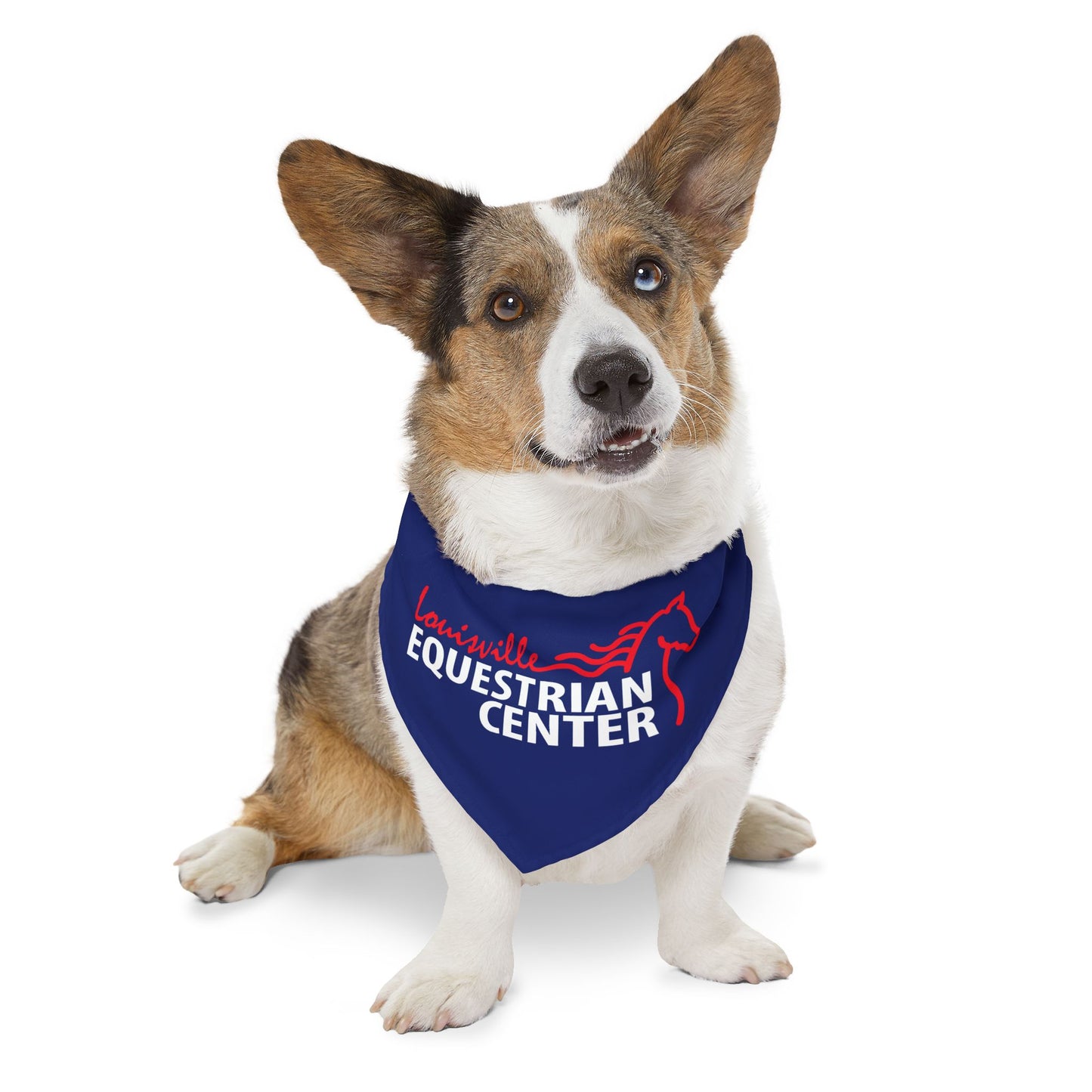 Dog Bandana with Collar