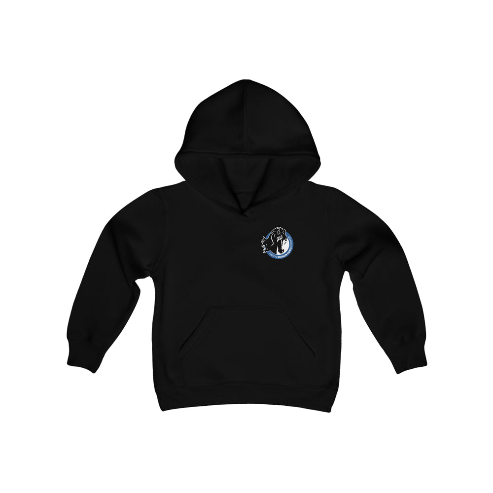 AMHA Youth Hoodie