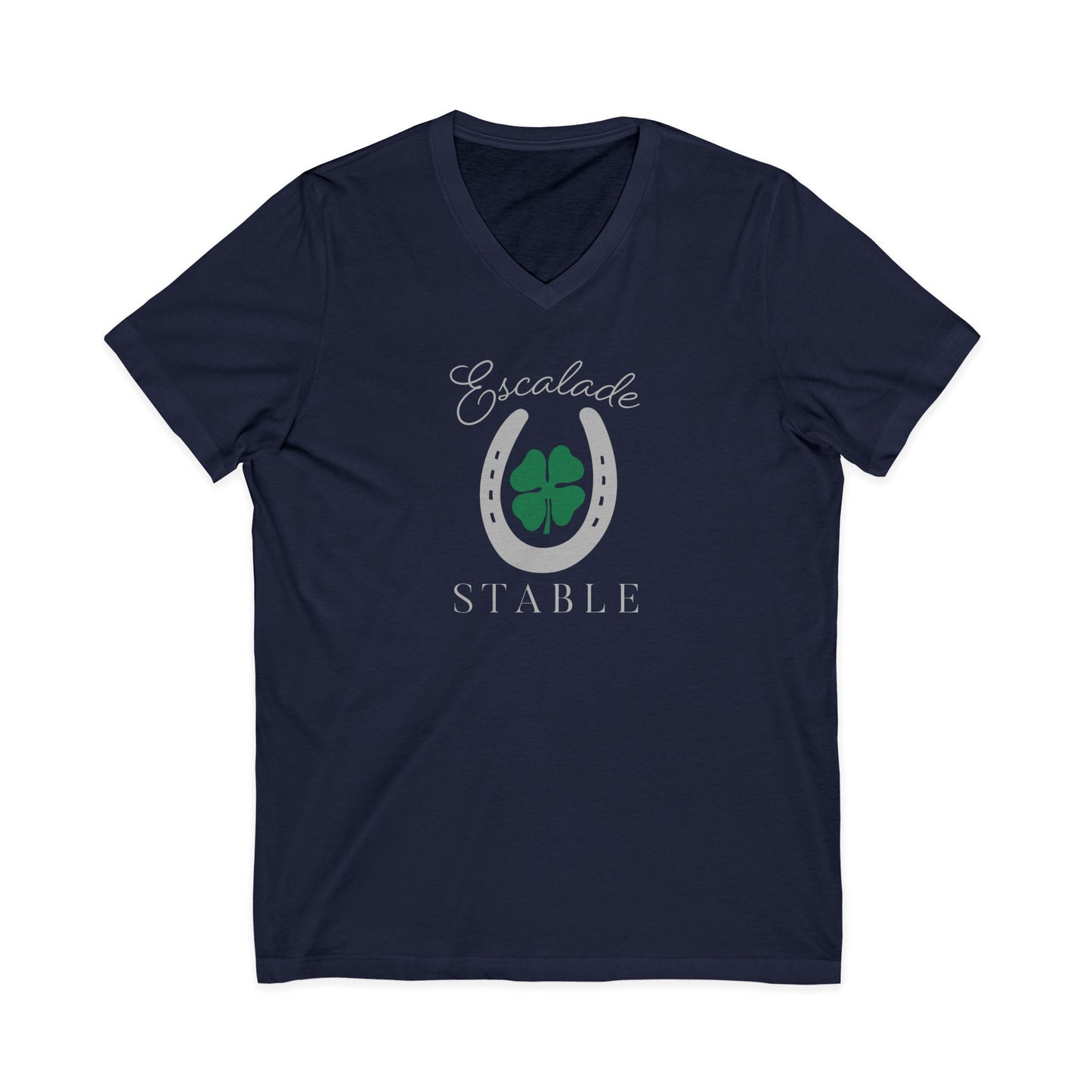 Premium Ladies V-Neck Tee