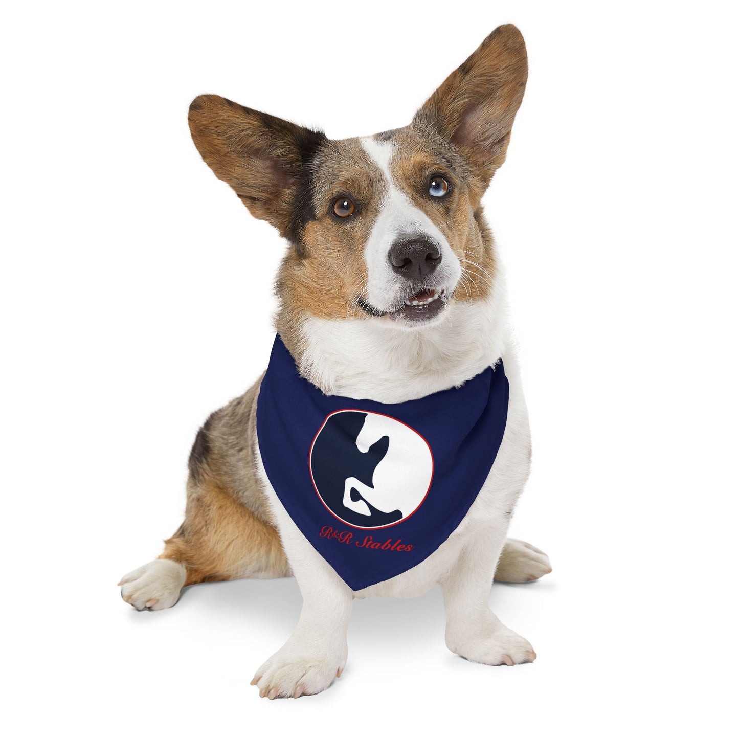 Dog Bandana with Collar