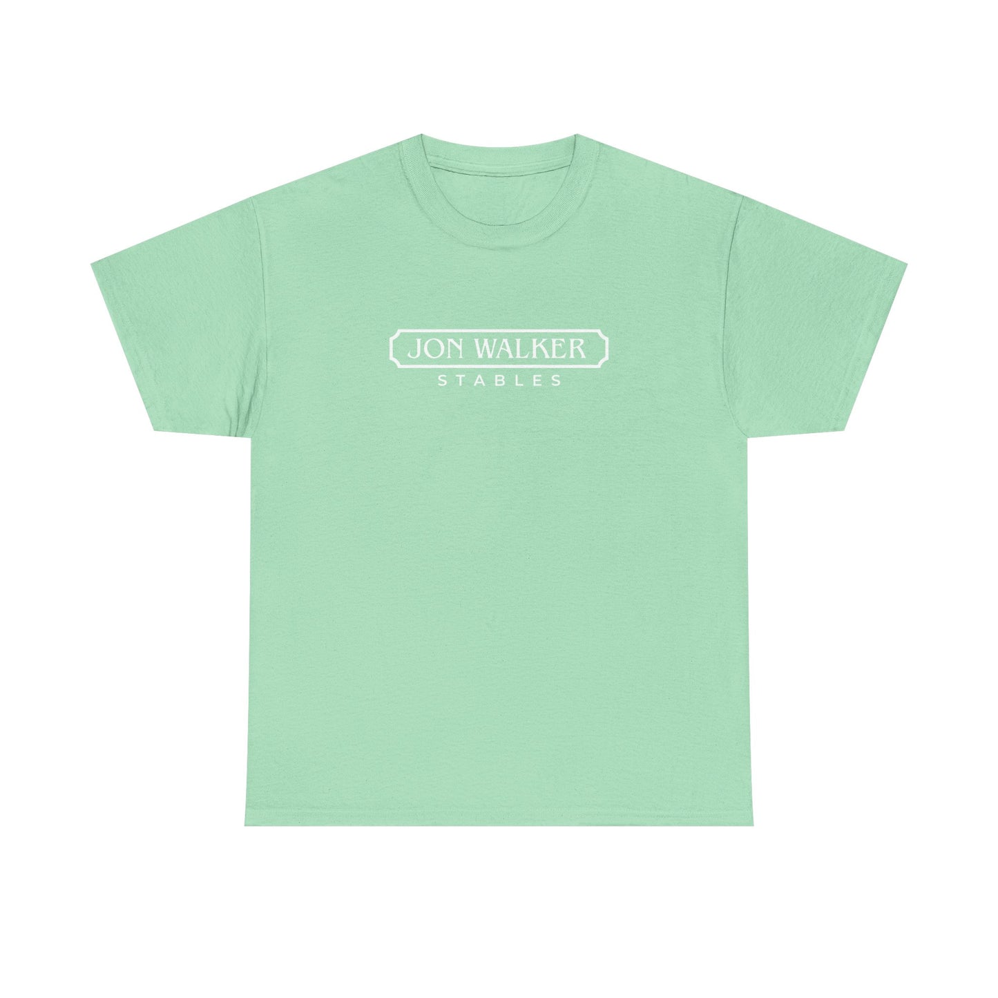 Classic Cotton Tee -- FUN COLORS