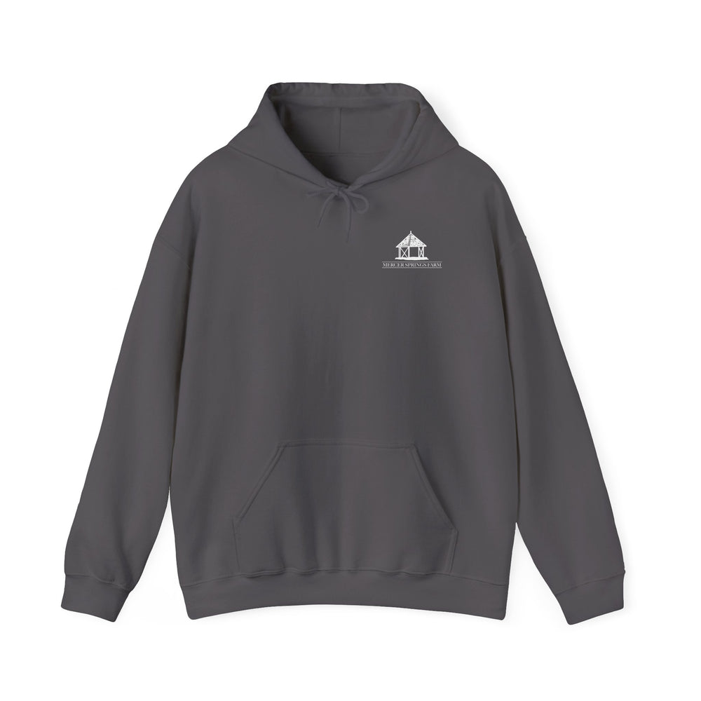 
                  
                    Unisex Heavy Blend™ Hoodie
                  
                