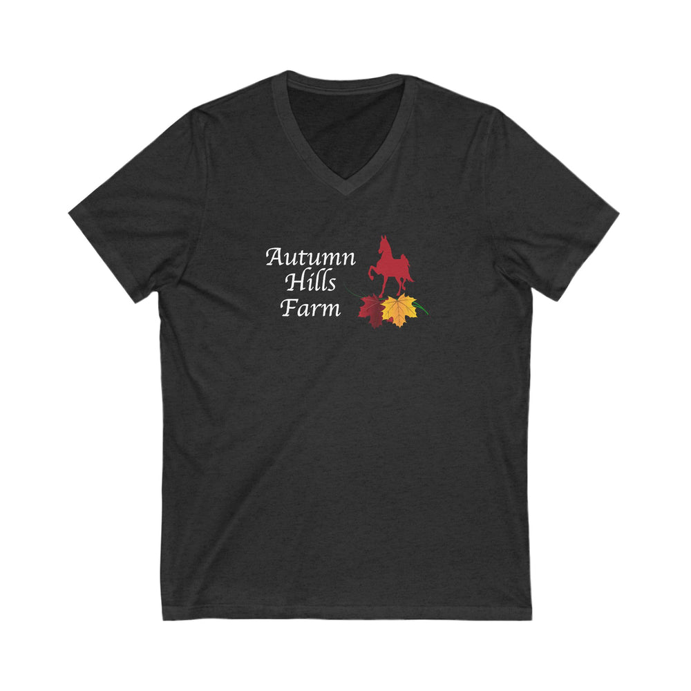 
                  
                    Premium Ladies V-Neck Tee
                  
                