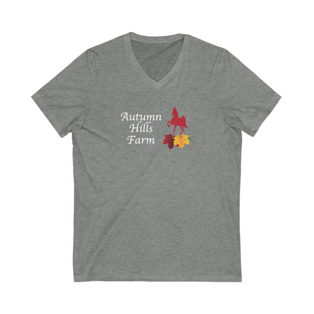 
                  
                    Premium Ladies V-Neck Tee
                  
                