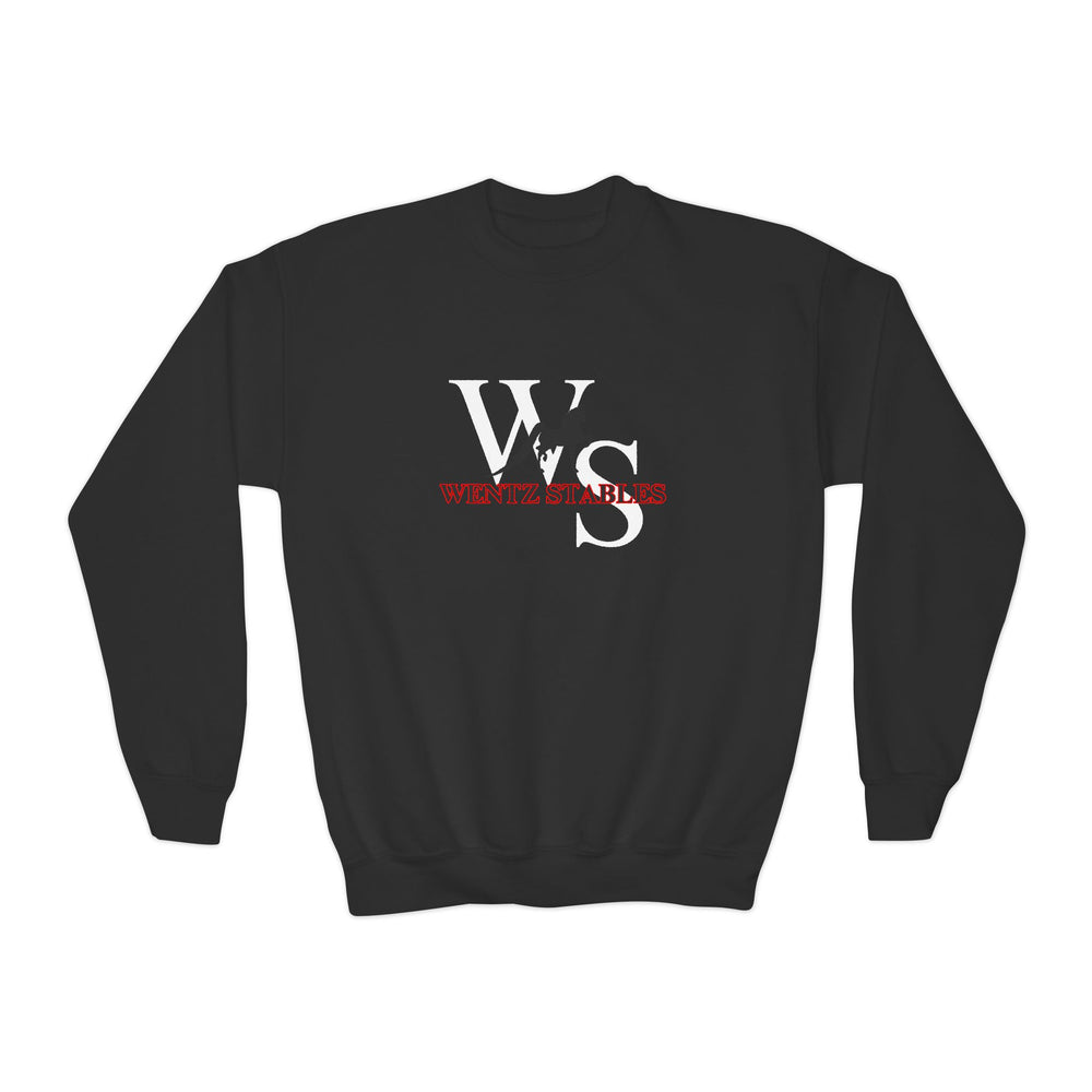 Classic Youth Crewneck Sweatshirt