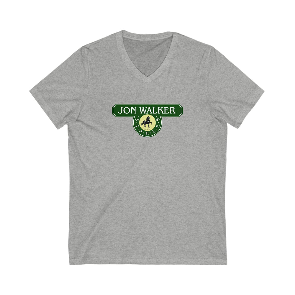 
                  
                    Premium Ladies V-Neck Tee
                  
                