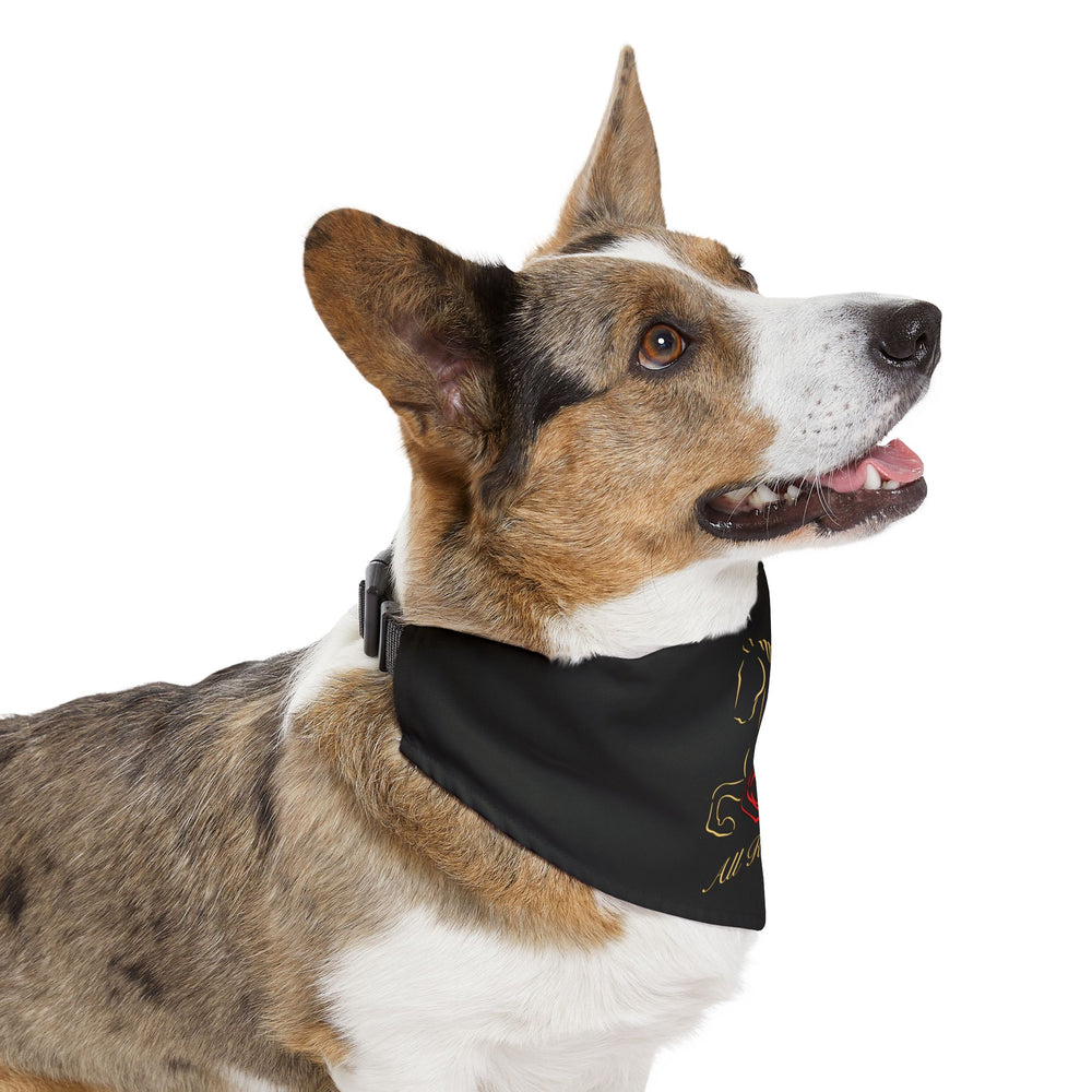 
                  
                    Dog Bandana with Collar
                  
                