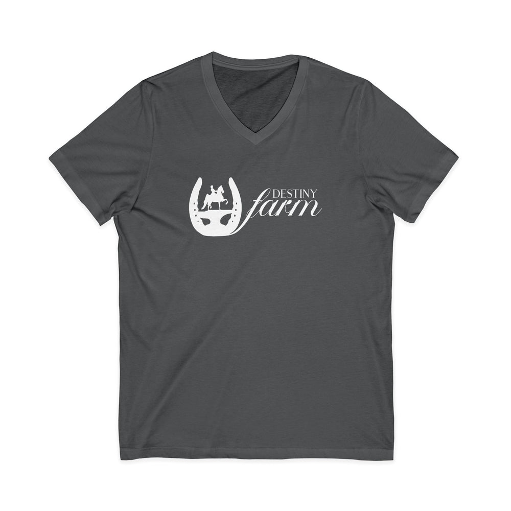 
                  
                    Premium Ladies V-Neck Tee
                  
                