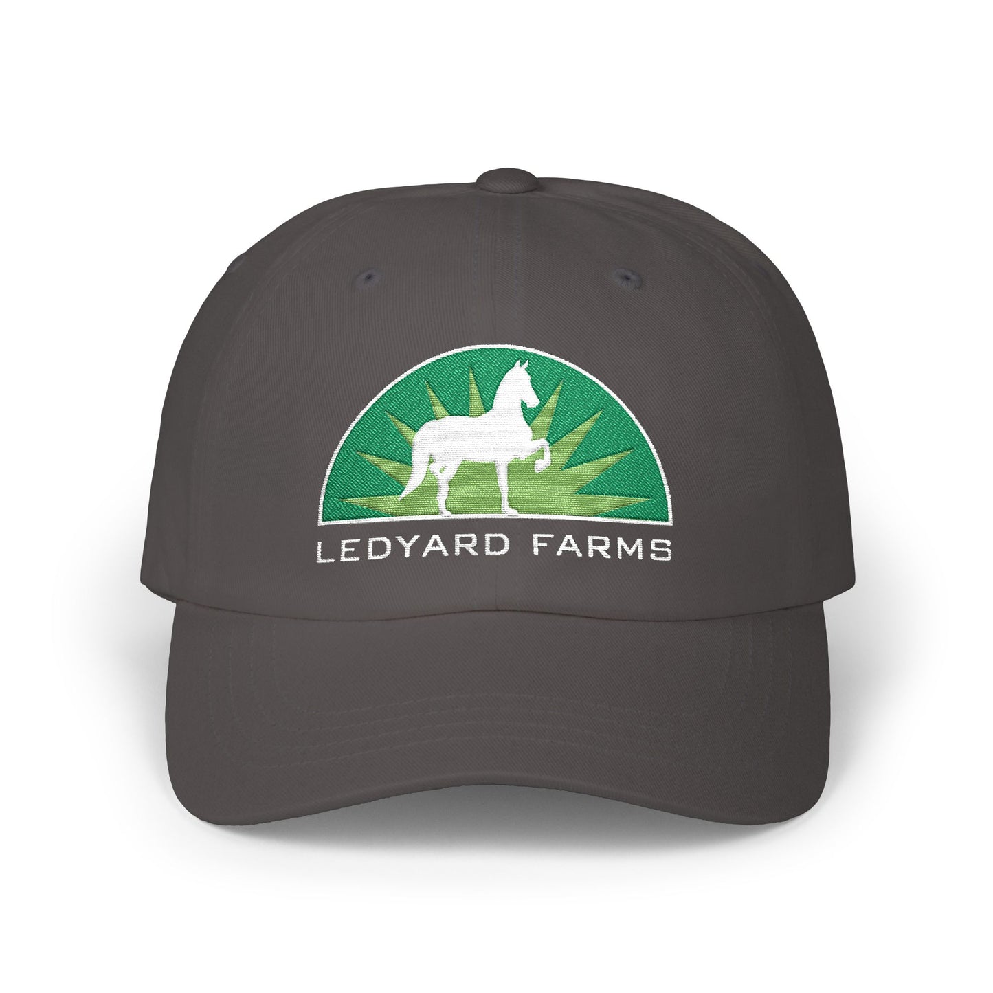 Embroidered Premium Hat