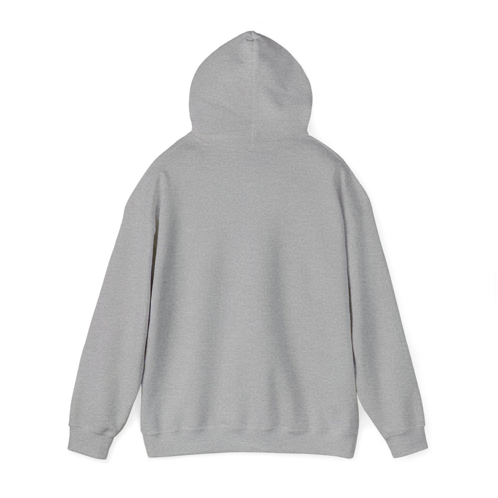 
                  
                    Unisex Heavy Blend™ Hoodie
                  
                