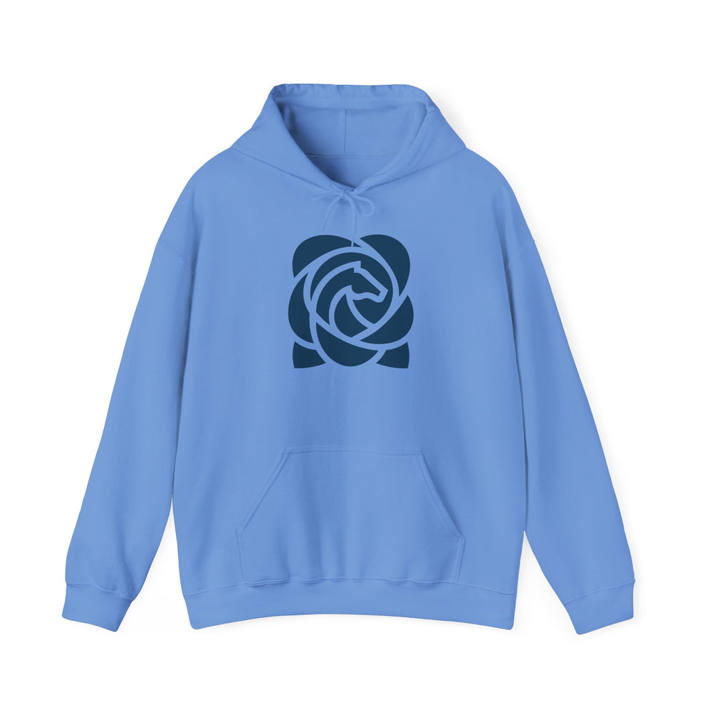 
                  
                    Unisex Heavy Blend™ Hoodie
                  
                