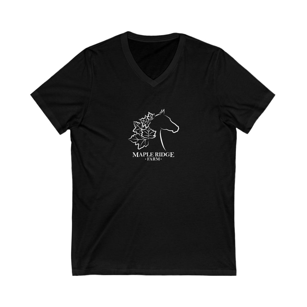 
                  
                    Premium Ladies V-Neck Tee
                  
                