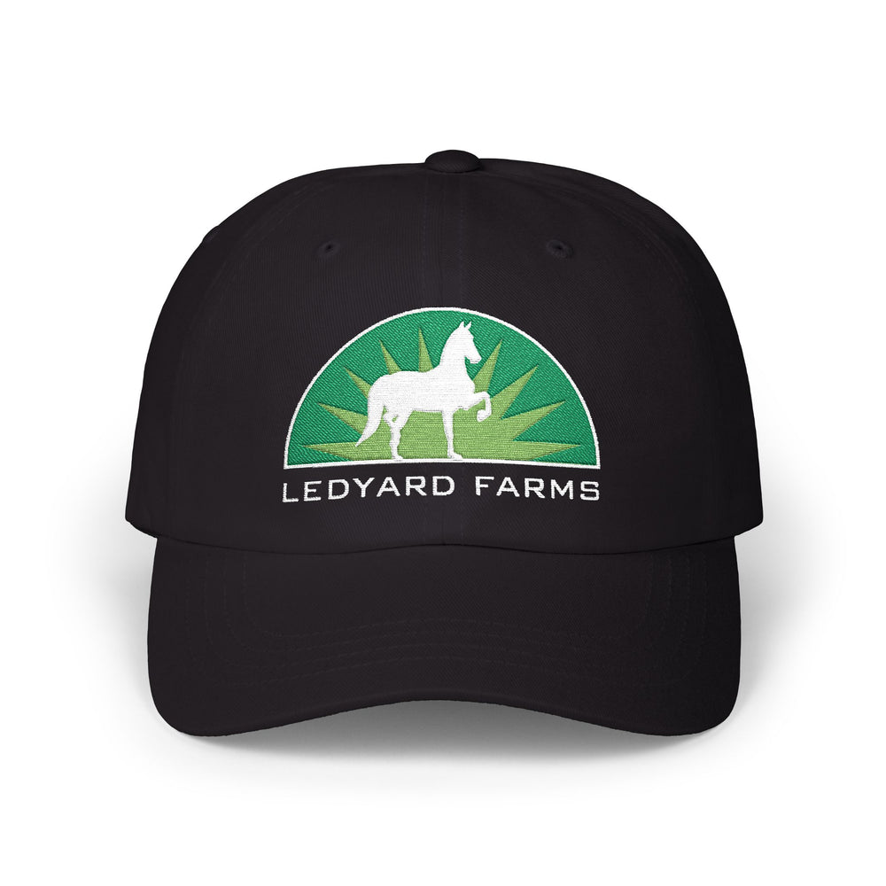 
                  
                    Embroidered Premium Hat
                  
                