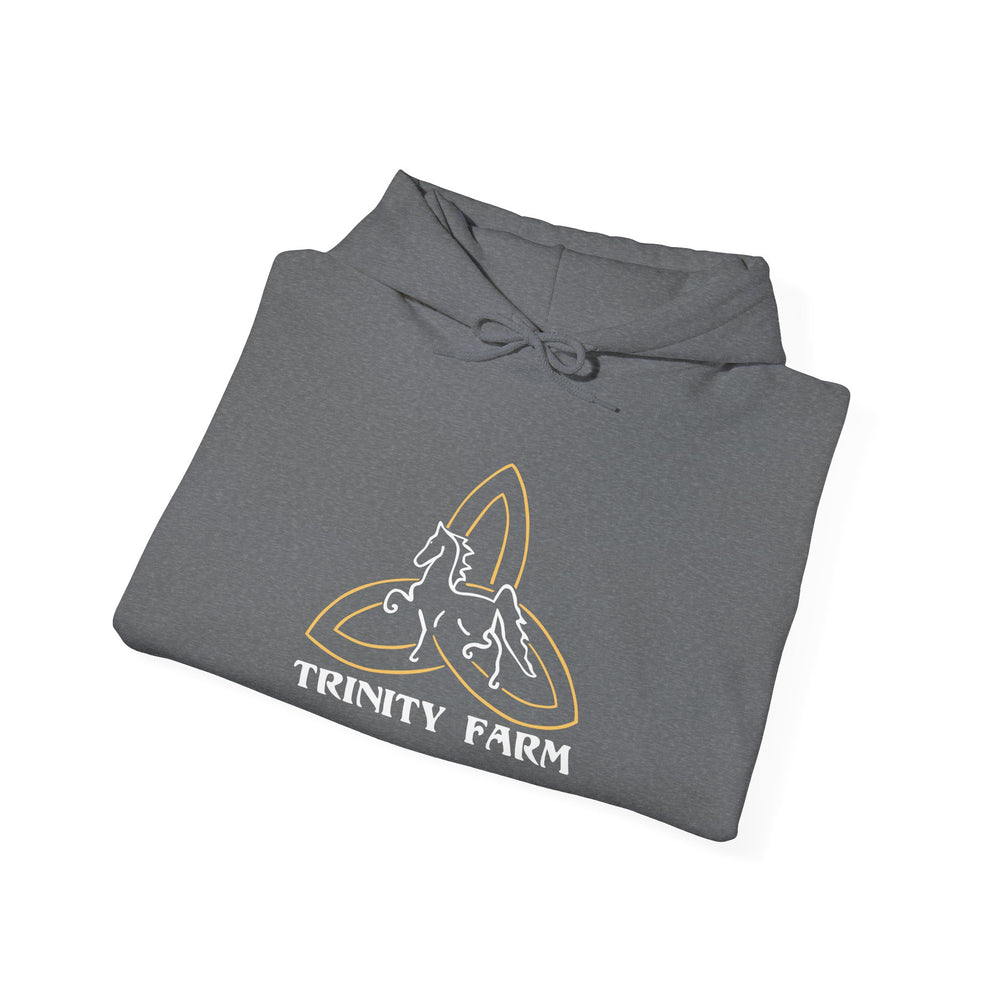 
                  
                    Unisex Heavy Blend™ Hoodie
                  
                