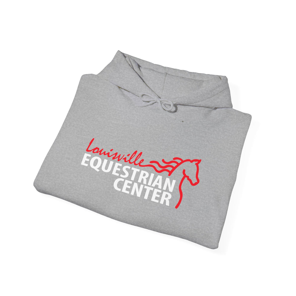 
                  
                    Unisex Heavy Blend™ Hoodie
                  
                