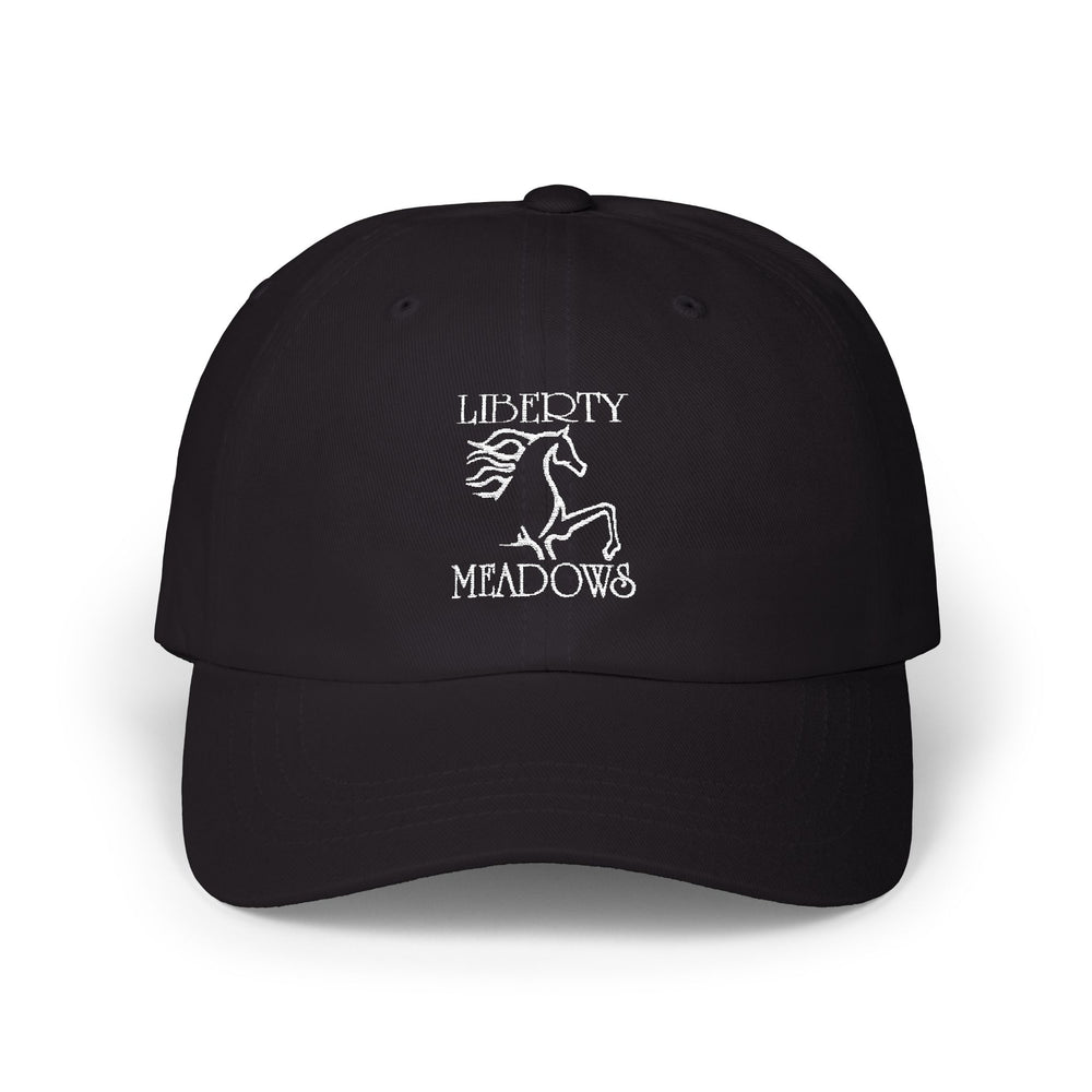 
                  
                    Embroidered Premium Hat
                  
                