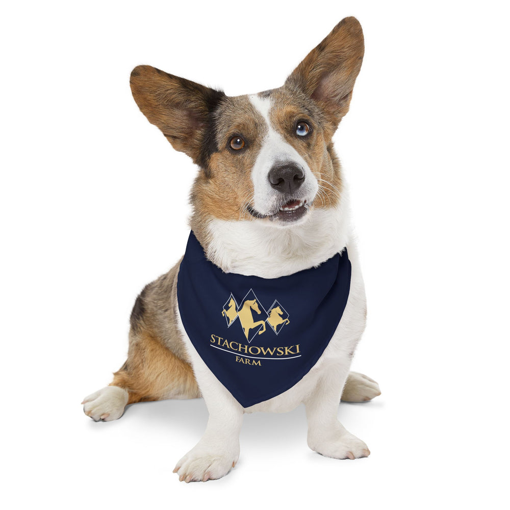 
                  
                    Dog Bandana with Collar
                  
                