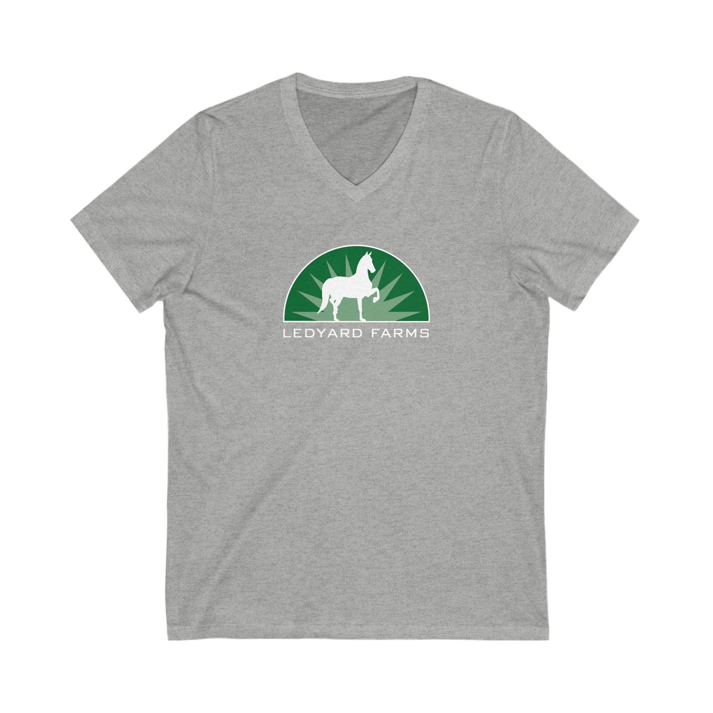 Premium Ladies V-Neck Tee